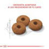 Imagen de ALIMENTO BALANCEADO GATOS APPETITE CONTROL X 1,5 KG