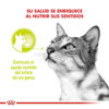 Imagen de ALIMENTO BALANCEADO GATOS SENSORY SMELL POUCH X 85 GR