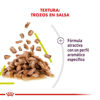 Imagen de ALIMENTO BALANCEADO GATOS SENSORY SMELL POUCH X 85 GR
