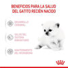 Imagen de ALIMENTO BALANCEADO  GATOS BABYCAT MILK X 300 GR