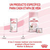 Imagen de ALIMENTO BALANCEADO  GATOS BABYCAT MILK X 300 GR