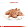 Imagen de ALIMENTO BALANCEADO GATOS PERSIAN POUCH X 85 GR