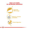 Imagen de ALIMENTO BALANCEADO GATOS PERSIAN POUCH X 85 GR