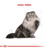 Imagen de ALIMENTO BALANCEADO GATOS PERSIAN POUCH X 85 GR