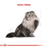 Imagen de ALIMENTO BALANCEADO GATOS PERSIAN  GATO X 7,5 KG