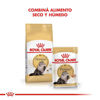 Imagen de ALIMENTO BALANCEADO GATOS PERSIAN  GATO X 1,5 KG