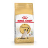 Imagen de ALIMENTO BALANCEADO GATOS SIAMESE  x 1,5 KG