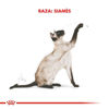 Imagen de ALIMENTO BALANCEADO GATOS SIAMESE  x 1,5 KG
