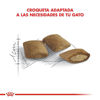 Imagen de ALIMENTO BALANCEADO GATO AGEING + 12 X 2 KG