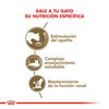 Imagen de ALIMENTO BALANCEADO GATO AGEING + 12 X 2 KG