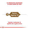 Imagen de ALIMENTO BALANCEADO GATO AGEING + 12 X 2 KG