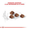 Imagen de ALIMENTO BALANCEADO GATOS MOTHER Y BABYCAT X 1,5KG