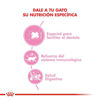 Imagen de ALIMENTO BALANCEADO GATOS MOTHER Y BABYCAT X 1,5KG