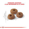 Imagen de ALIMENTO BALANCEADO  GATOS FIT GATO X 7,5 KG