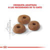 Imagen de ALIMENTO BALANCEADO GATOS FIT32 SUELTO X 1 KG