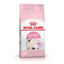 Imagen de ALIMENTO BALANCEADO GATOS KITTEN  x  1,5 KG