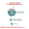 Imagen de ALIMENTO BALANCEADO GATOS HAIRBALL CARE GATO  x  1,5 KG