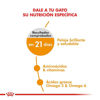 Imagen de ALIMENTO BALANCEADO PARA GATO HAIR Y SKIN CARE X 2 KG GATO