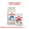 Imagen de ALIMENTO BALANCEADO GATOS INDOOR  GATO  x 1,5 KG