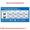 Imagen de ALIMENTO BALANCEADO GATOS INDOOR  GATO  x 1,5 KG