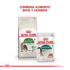 Imagen de ALIMENTO BALANCEADO GATO ACTIVE 7+ 1,5 KG FELINE