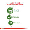 Imagen de ALIMENTO BALANCEADO GATO ACTIVE 7+ 1,5 KG FELINE