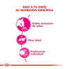 Imagen de ALIMENTO BALANCEADO GATOS EXIGENT  x 1,5 KG GATO