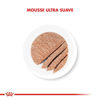 Imagen de ALIMENTO BALANCEADO HUMEDO STARTER MOTHER Y BABYDOG X 195GR LATA