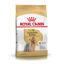 Imagen de ALIMENTO BALANCEADO PERROS YORKSHIRE ADULTO x 3 KG