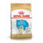 Imagen de ALIMENTO BALANCEADO PERROS GOLDEN JUNIOR X 12 KG