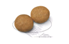 Imagen de ALIMENTO BALANCEADO PERROS MEDIUM ADULTO x 15 KG