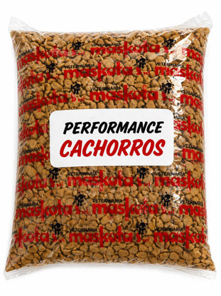 Imagen de ALIMENTO BALANCEADO PERROS PERFORMANCE JUNIOR SUELTO X 1 KG