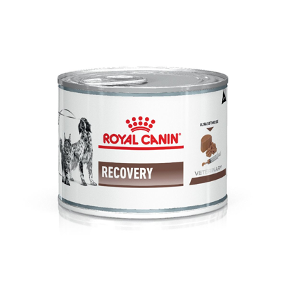 Imagen de ALIMENTO BALANCEADO HUMEDO RECOVERY DOG/CAT LATA HUMEDO
