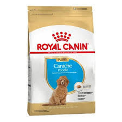 Imagen de ALIMENTO BALANCEADO PERROS CANICHE JUNIOR X 1 KG