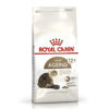 Imagen de ALIMENTO BALANCEADO GATO AGEING + 12 X 2 KG