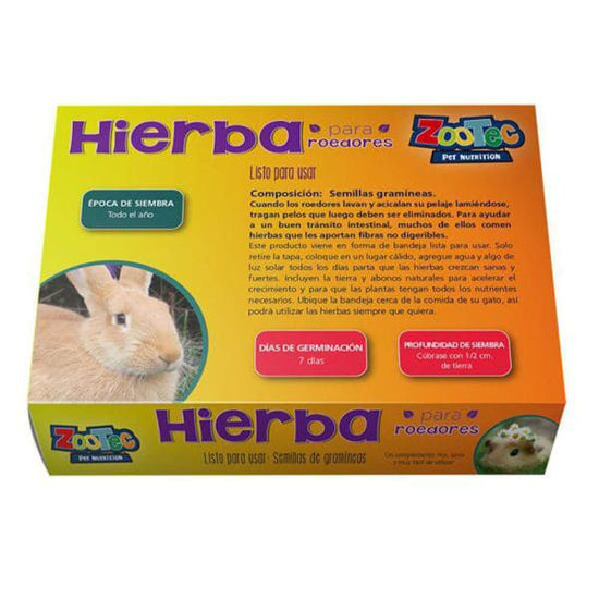 Imagen de ACCESORIOS PARA CONEJOS / COBAYOS HIERBA PARA ROEDORES LISTA PARA SEMBRAR