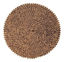 Imagen de ACCESORIOS PARA GATOS RASCADOR REPUESTO CAT IT PALY 3*23,5CM