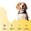 Imagen de ACCESORIOS PARA MASCOTAS - PESX50U PAÑO ENTRENAMIENTO BEEPAW TRAIN-E SMALL X 50 U